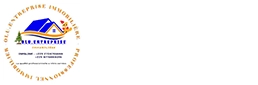 OLU ENTREPRISE IMMOBILIERE